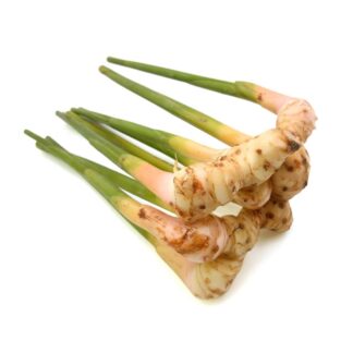 Frischer Bio Knospe Ingwer aus der Schweiz pro 100g