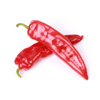 Bio Knospe Peperoni Ramiro aus der Schweiz pro 500g KEIN VERSAND