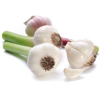 Bio Knospe Knoblauch frisch aus der Schweiz pro 200g