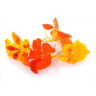 Bio Knospe Blüten essbar aus der Schweiz